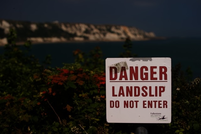 The signs you encounter in the wild hint at so many stories.