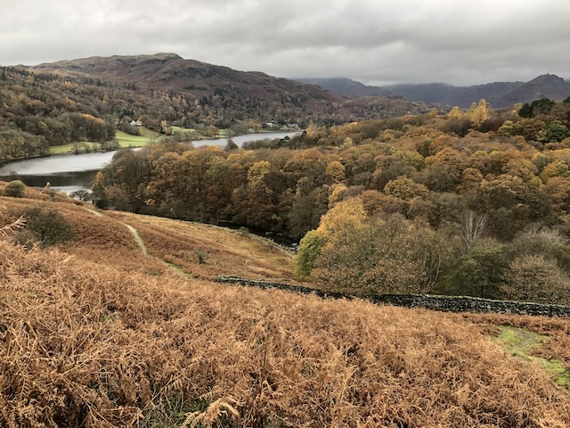 A glowing lake hidden behind a sea of gold and brown.